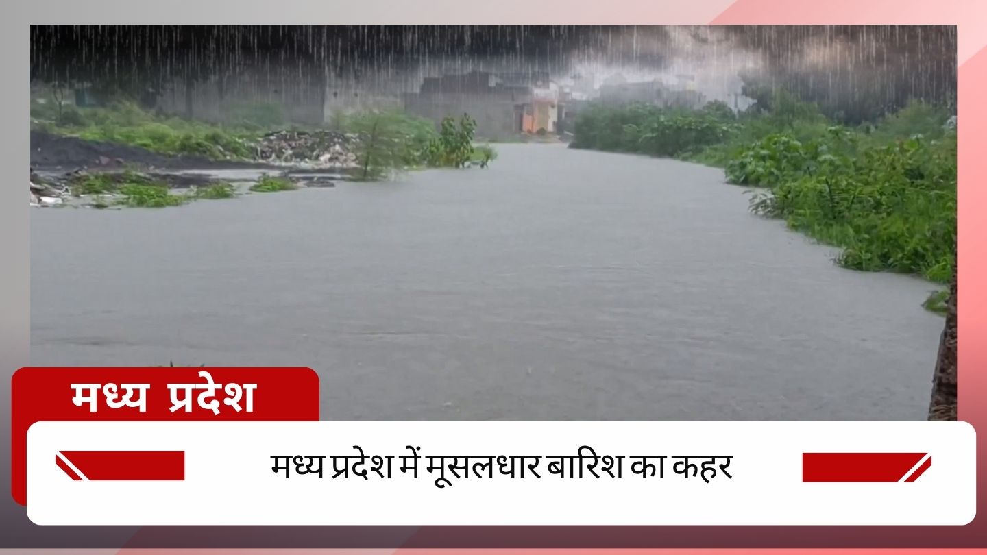 MP Flood